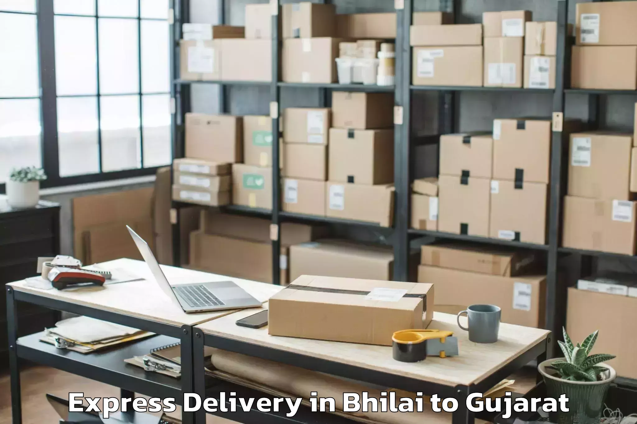 Professional Bhilai to Kutiyana Express Delivery